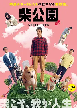96533电视影片免费