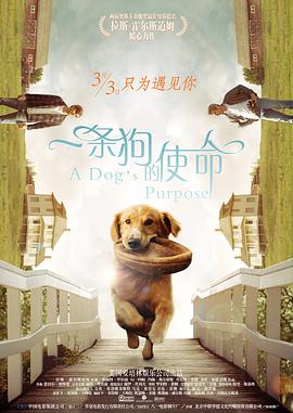 久久亚洲成人