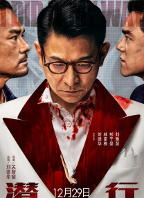 91黄视频下载